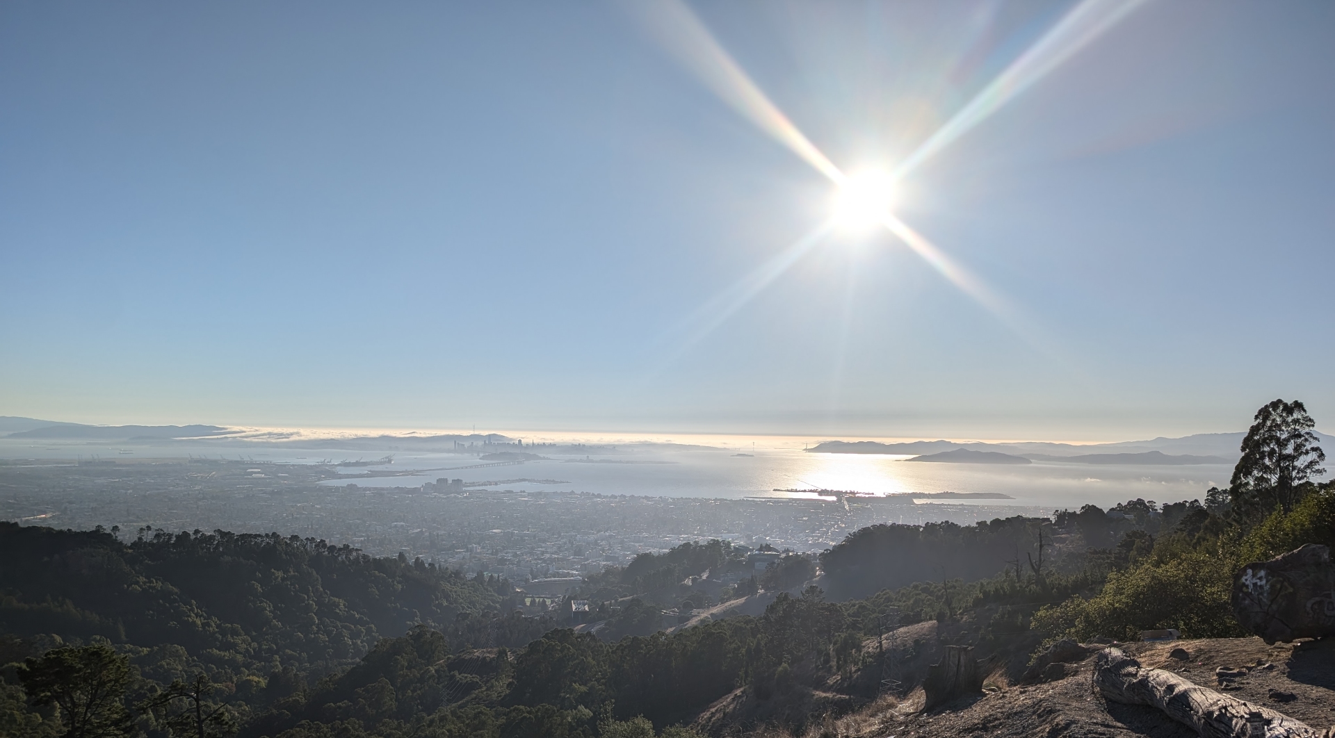 A view of UC Berkeley
